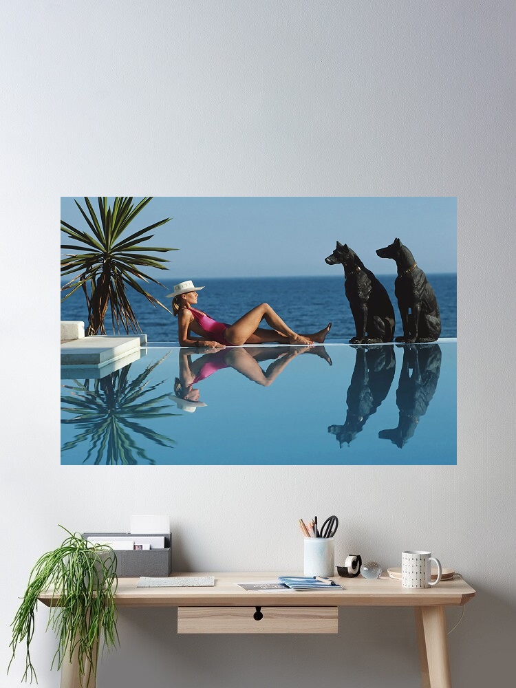 Retro Poolside Host Luxury Lif – Luxury Lifestyle Homes recenzja i cena