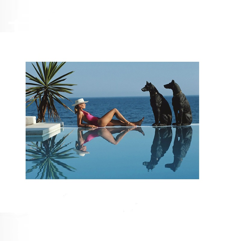 Retro Poolside Host Luxury Lif – Luxury Lifestyle Homes recenzja i cena